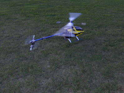 2009-11 T-Rex 600_060
